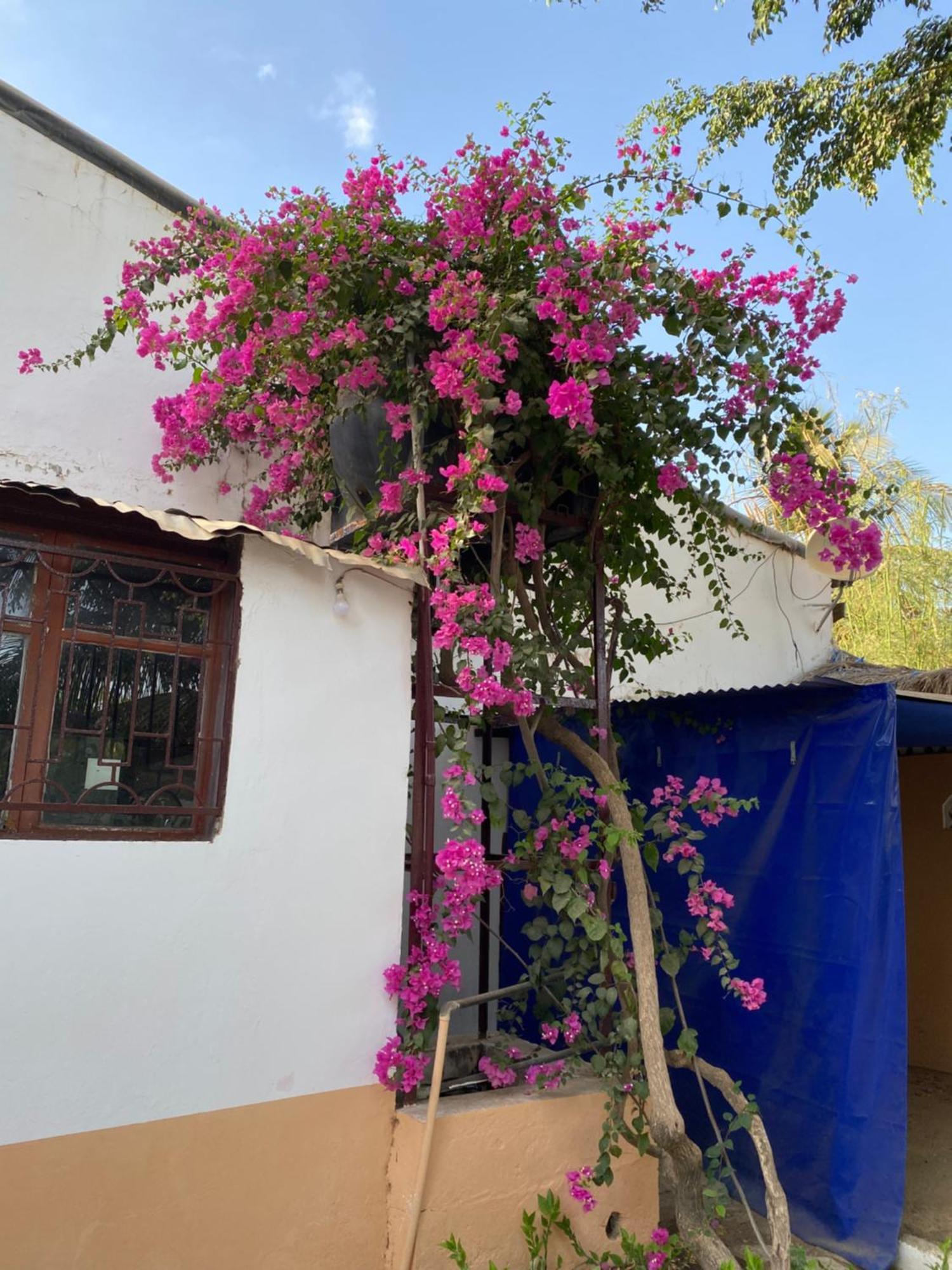 La Case Africaine Saly Portudal Exterior photo